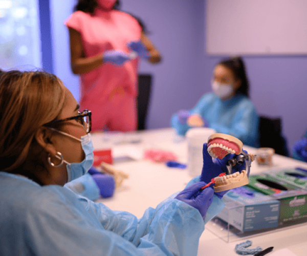 Dental Assistant Cleaning